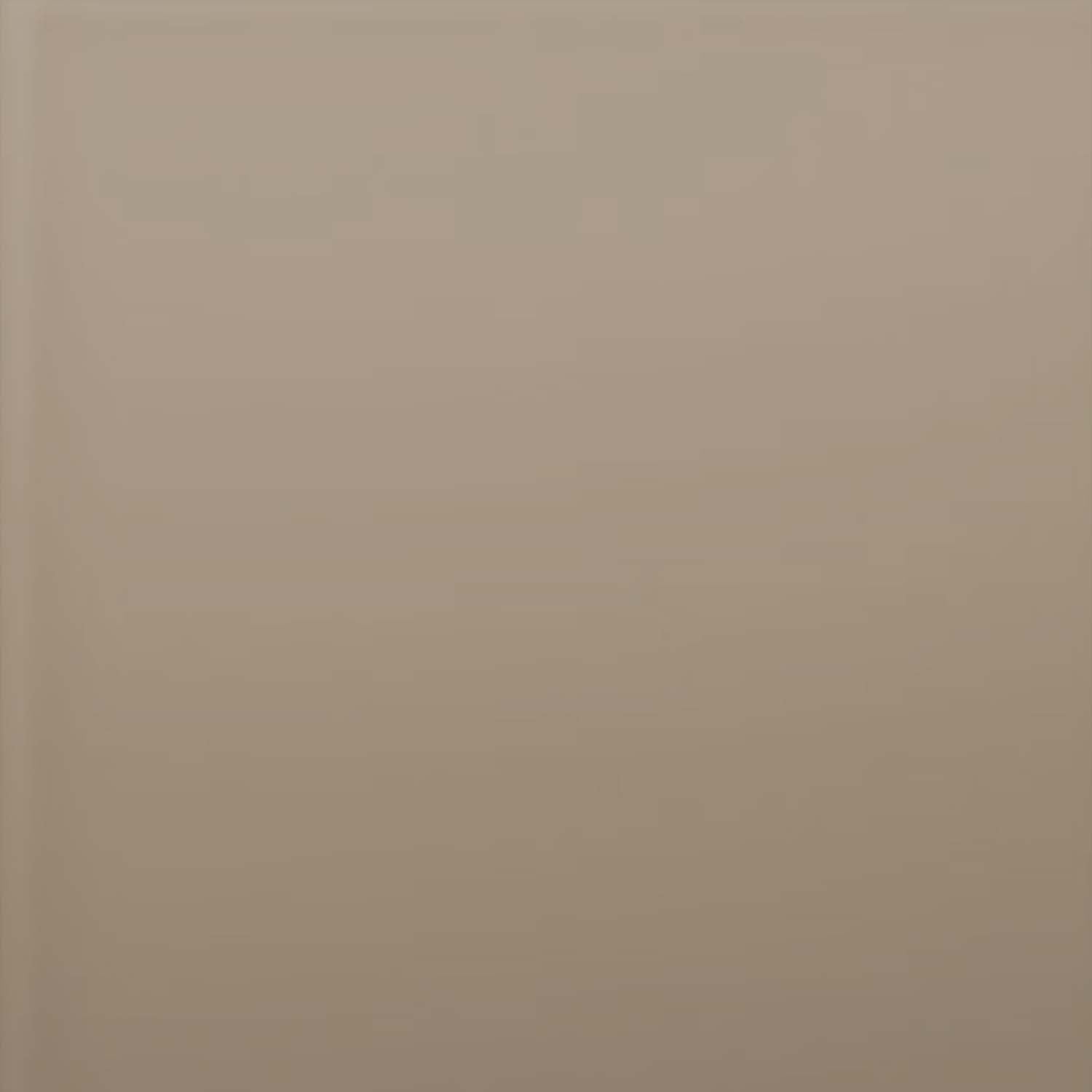 Glas lackiert - Brown Light 1236